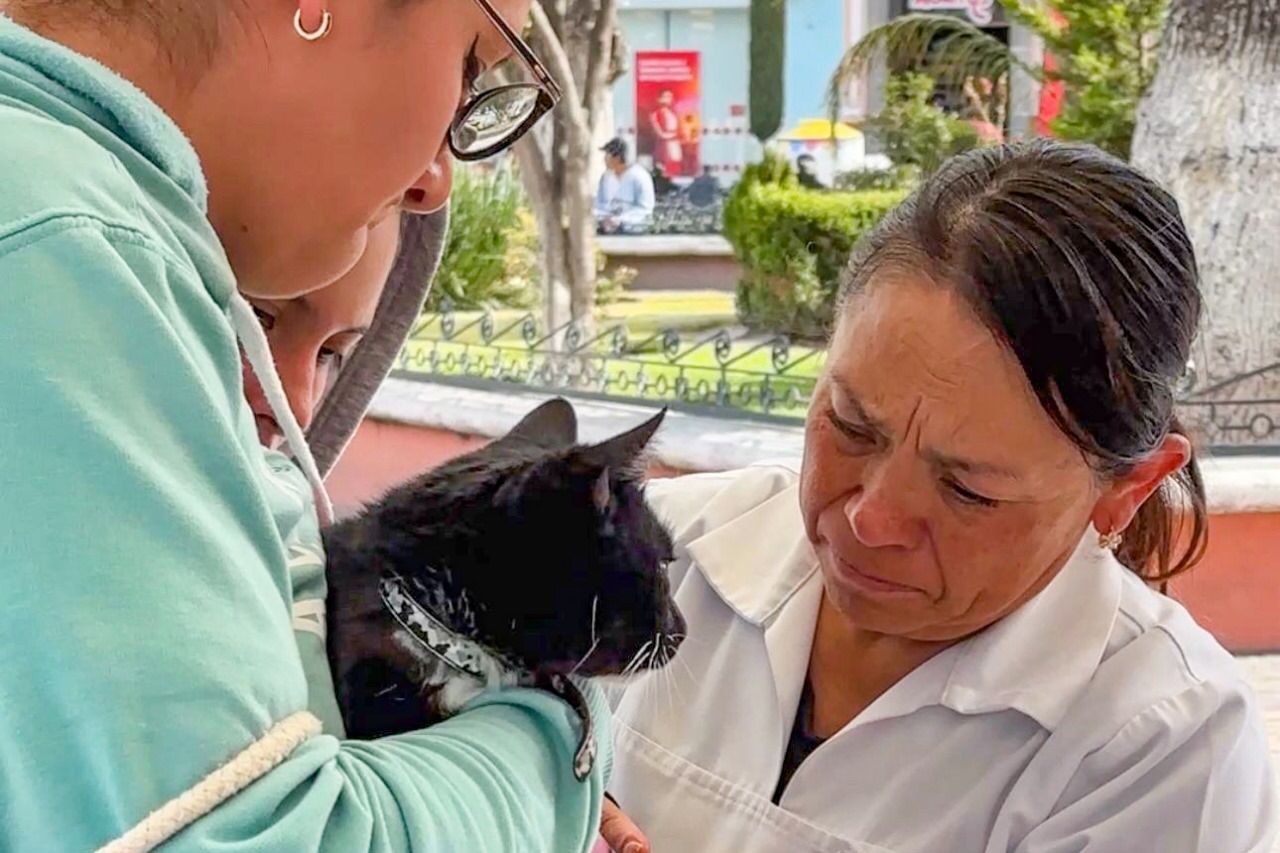 Últimos días de la Jornada de Vacunación Antirrábica en Huamantla